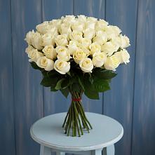 Букет 51 Белая роза Эдлесс Лав #REPLACE_PRED# Котельниче