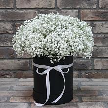Цветочная композиция из Гипсофила в шляпной коробке в Котельниче