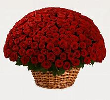 Премиум букет из: Розы в Котельниче