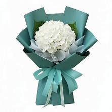 Букет цветов из:  Гортензия в Котельниче